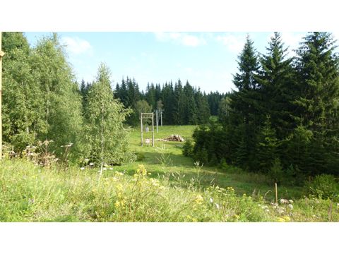 Foto 50
